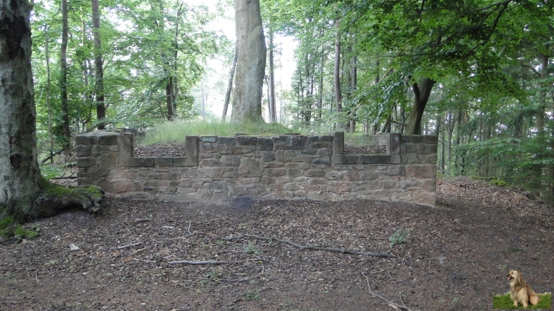 Ritterstein Nr. 271-8 Ruine Wachturm Murrmirnichtviel.JPG - Ritterstein Nr.271 Ruine Wachturm Murrmirnichtviel